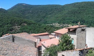 Holiday Rentals in Tiana