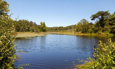 Familiehoteller i Ashland City