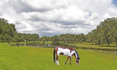 Hoteles en Ocala