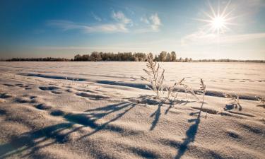 Hotely s parkovaním v destinácii Märjamaa