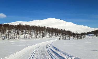 Отели с парковкой в городе Mestervik