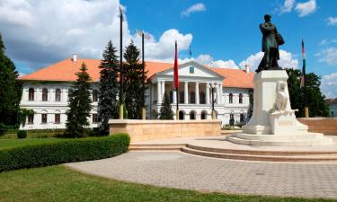 Hotels in Makó