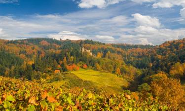 Pensionen in Friedrichroda