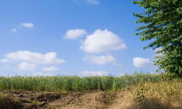 Bed & breakfast-steder i Bilzen