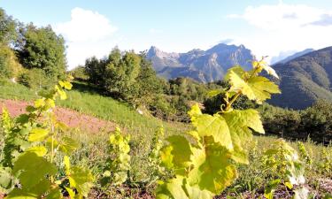 Casas y chalets en Camporgiano