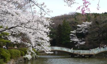 Hoteles en Machida