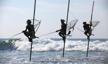 Hotéis na praia em Ahangama