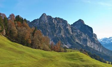 Schwyz şehrindeki apart oteller