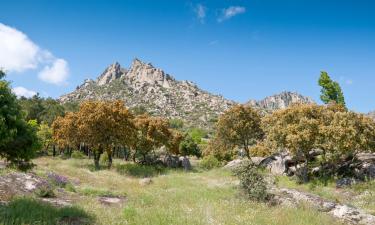 Hoteles que admiten mascotas en Cercedilla