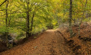 Parkolóval rendelkező hotelek Cantalojasban