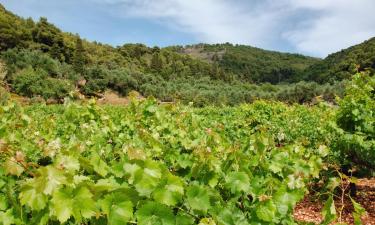 Alojamentos para fÃ©rias em Áyios Kírikos