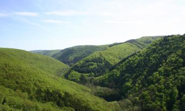 Ferienwohnungen in Saint-Maurice-sur-Moselle