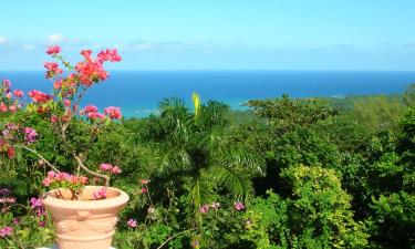 Hotels with Pools in Saint Annʼs Bay