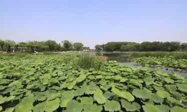 Hôtels à Jiangxia