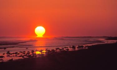 Viešbučiai mieste Ocean Isle Beach