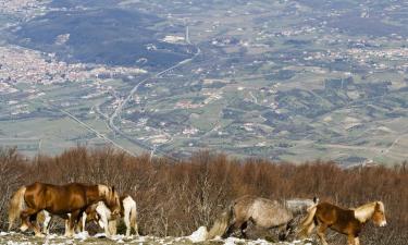 Hotels in Telese