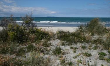 Logements avec cuisine à Dargaville