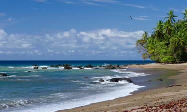 Hotels in Playa Flamingo