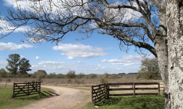 Hoteles que aceptan mascotas en San Antonio de Areco