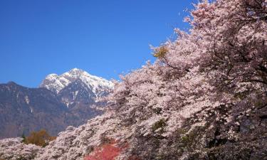 Viesnīcas pilsētā Kofu