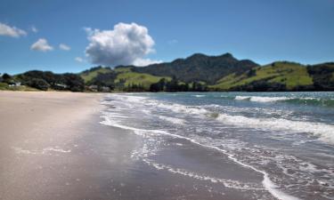 Hoteller i Whitianga