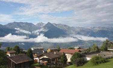 Apartments in Nendaz