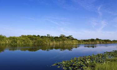 Hoteli u gradu 'Plantation'