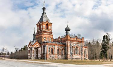 Хотели, които приемат домашни любимци, в Kohila