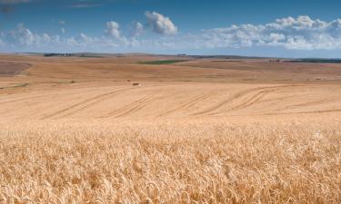 Self-Catering Accommodations in Piketberg