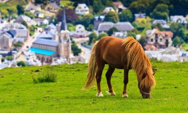 Hotels with Parking in Bec-de-Mortagne