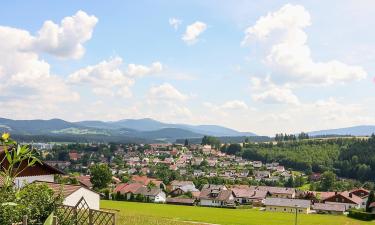 Günstige Hotels in Geiersthal