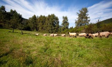 Penedo'daki otoparklar