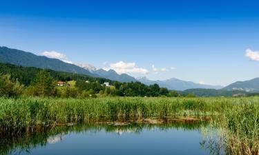 Hotels amb aparcament a Passriach