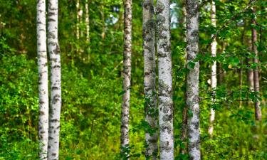 Hotely s parkovaním v destinácii Tohmajärvi