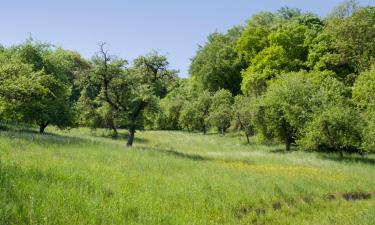 Case de vacanță în Mulfingen-Ailringen