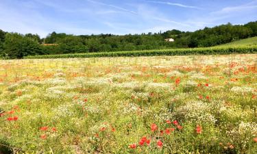 Hotels amb aparcament a Bavaria