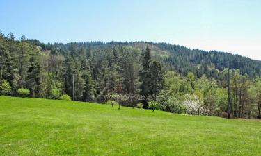 San Romano in Garfagnana - 주차 가능한 호텔