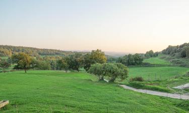 Ferieboliger i Perafita