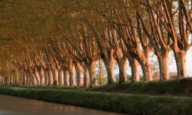 Ferieboliger i Sury-aux-Bois