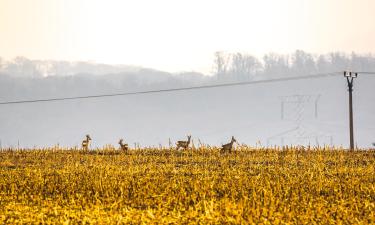 Hoteli u gradu Stupava