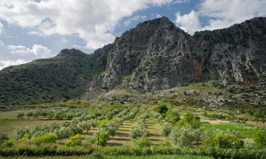 Ferieboliger i Montejaque