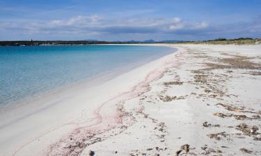 Παραθεριστικές κατοικίες σε Sant Ferran de Ses Roques