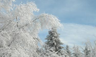 Complexuri de schi în Albinen