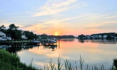 Hoteles que aceptan mascotas en Ocean Pines