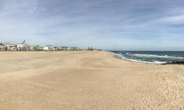 Lemmikloomasõbralikud hotellid sihtkohas Ocean Grove