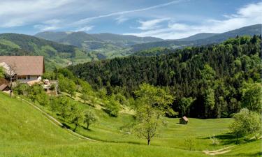 Ortenberg şehrindeki otoparklar