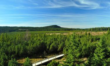 Отели в городе Квилда