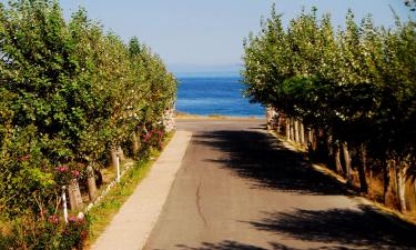 Vakantiewoningen aan het strand in Palaiopoli