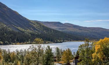 Hotel con parcheggio a Fjällhalsen