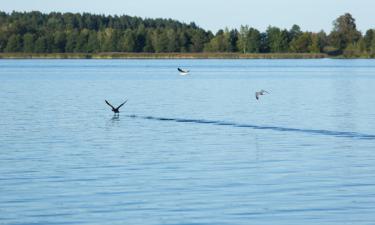 Отели в городе Rice Lake